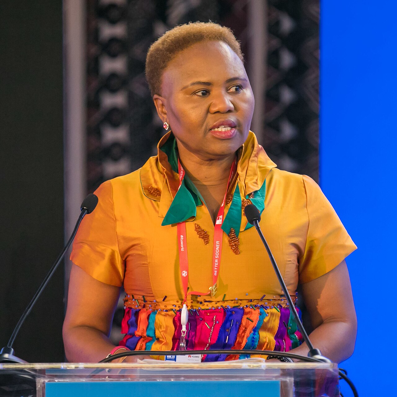 Minister Lindiwe Zulu Applauded the Role of NGOs on World NGO Day